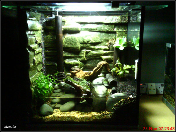 custom vivarium