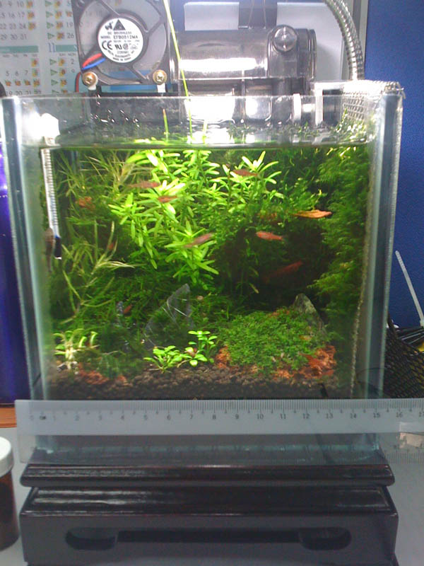 aquaticquotient com