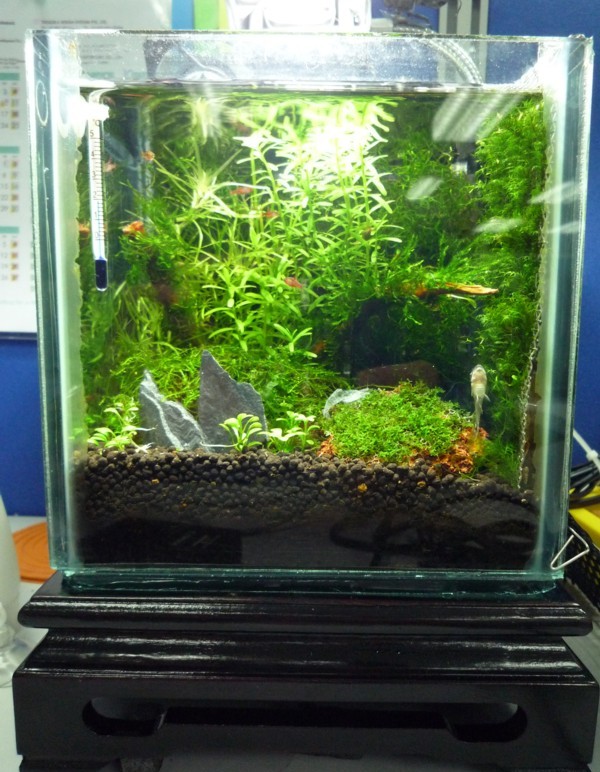 aquaticquotient com