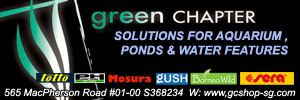 Green Chapter Banner
