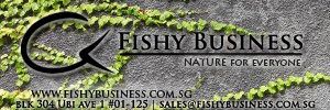 Fishy Business Banner