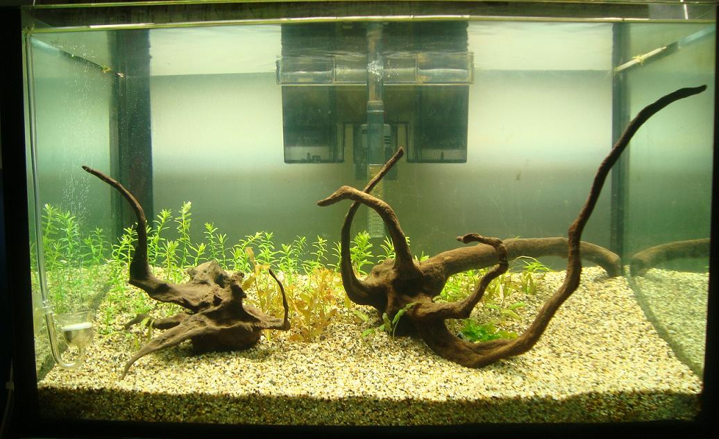 aquaticquotient com
