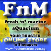 freshnmarine's Avatar