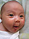 budak