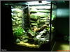 1.5ft Vivarium - 02