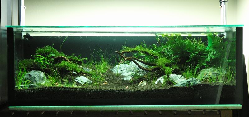 2 x1x1 ft crs tank