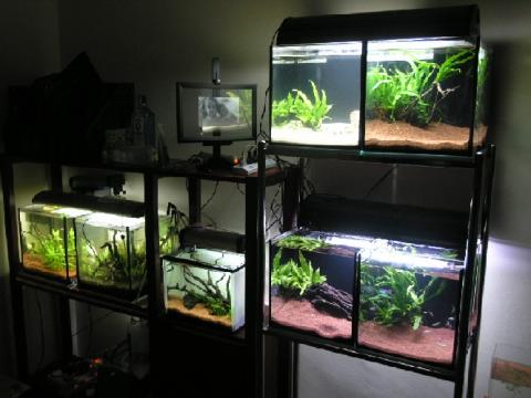 Fish Room set up!!