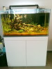 3 ftx1.8ftx2ft(H)  white cabinet tank june 2011