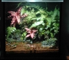 Vivarium