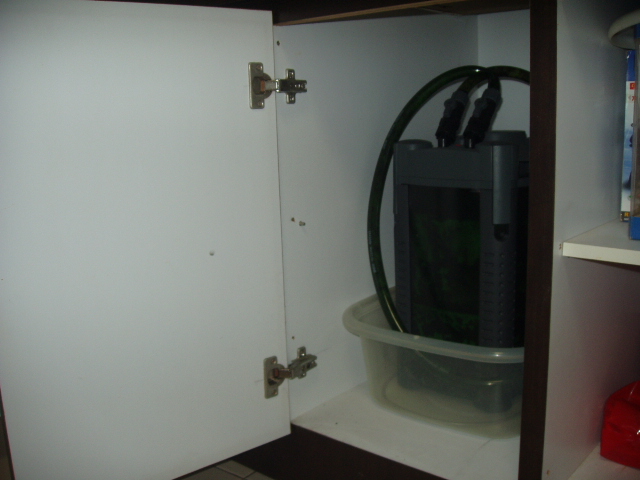 4ft Tank for Sale (Center Cabinet)