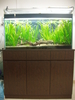 4ft Tank for Sale (Full Frontal)