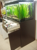 4ft Tank for Sale (Side Profile)