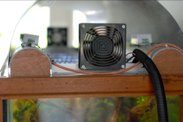 Montfort Aquascaping project
