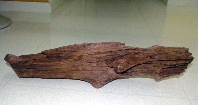 Wood #3