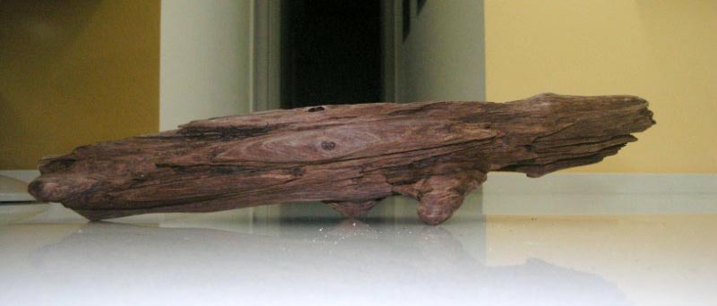 Wood #3