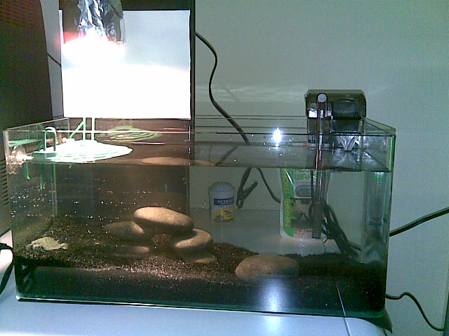 terrapin tank