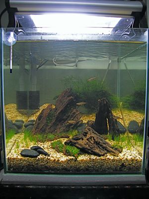 1ftcube-12