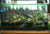 Vivarium