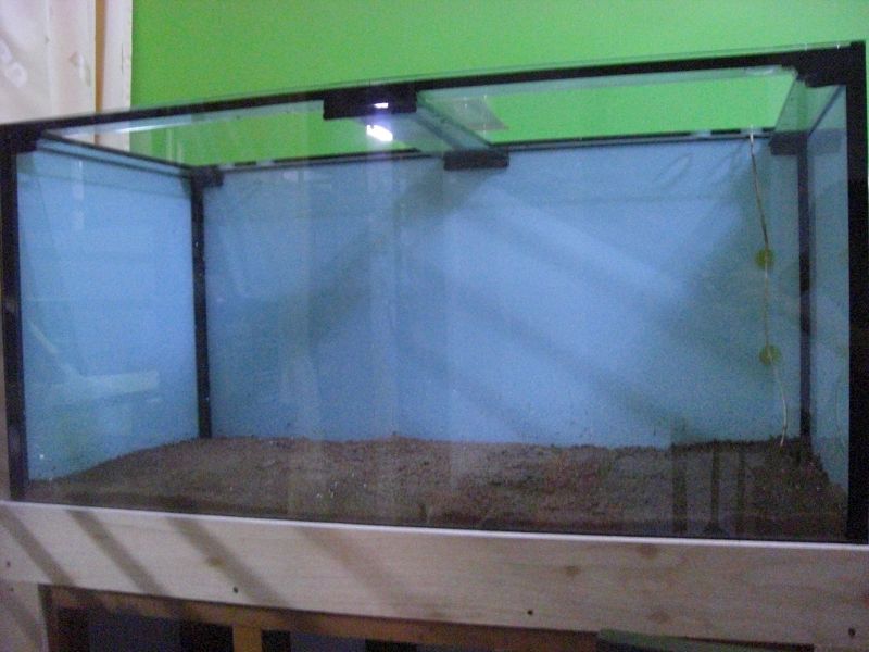 Front Substrate