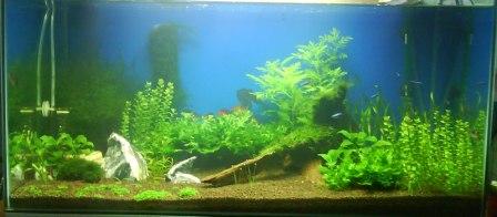 Re-scaping