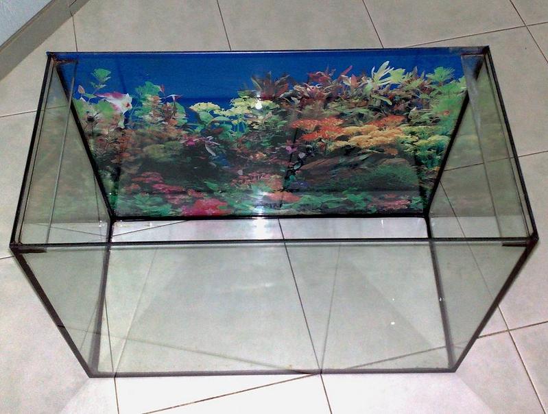 2ft Tank