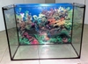 2ft Tank