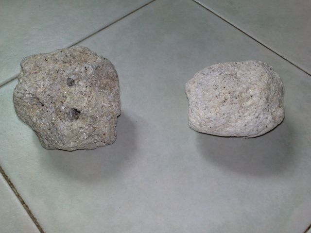 Rock And Plants