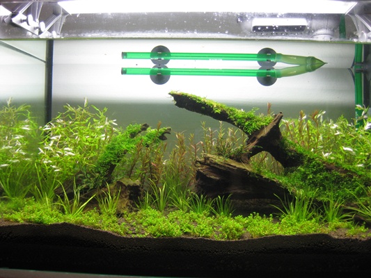 Trimming