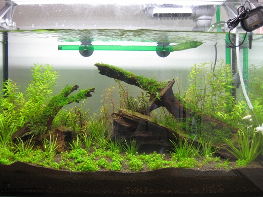 Tank Update 2