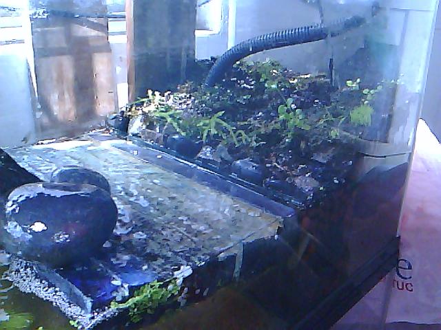 Vivarium