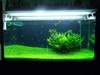 4x2x2 Glosso Tank