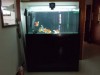 4x2x2 cabinet tank