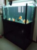 4x2x2 cabinet tank