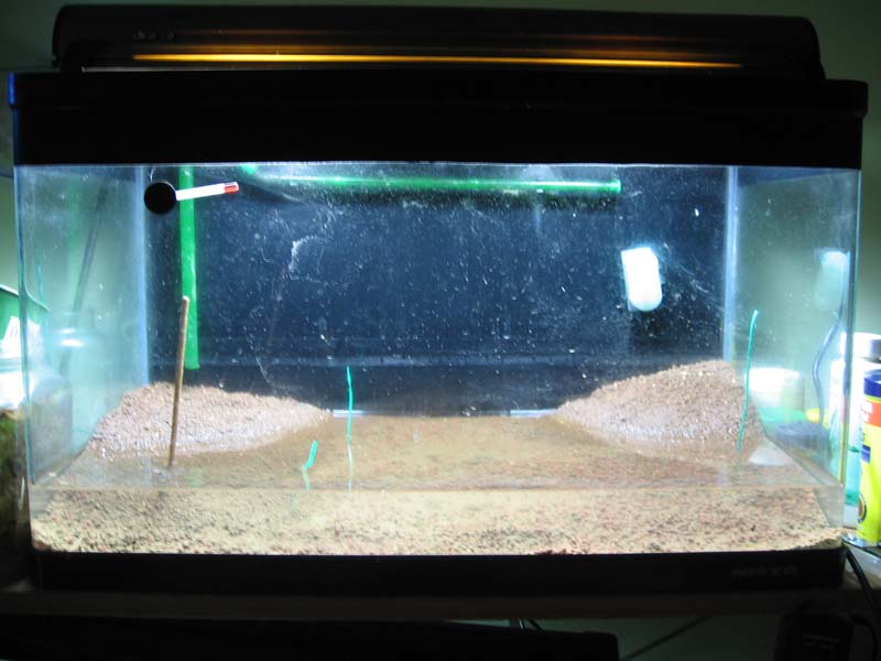 2ft tank revamped