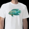 Jack Dempsey Cichlid T-shirt