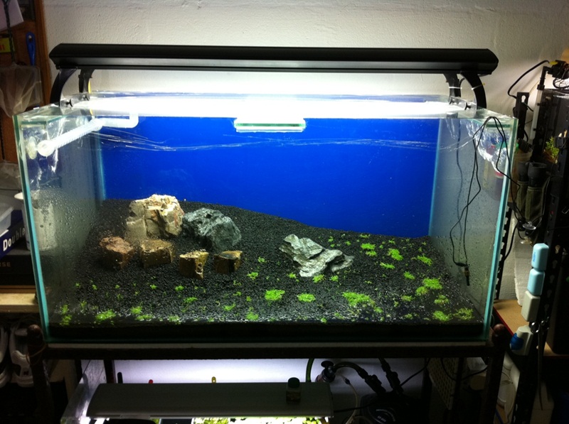 3feet rescape journal, detailed