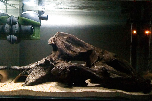 Urban.pleco Tank