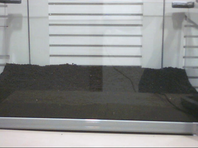 My Tank Start Up