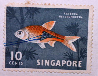 Stamp fish!