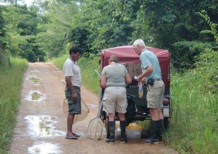 Collecting By Taxi