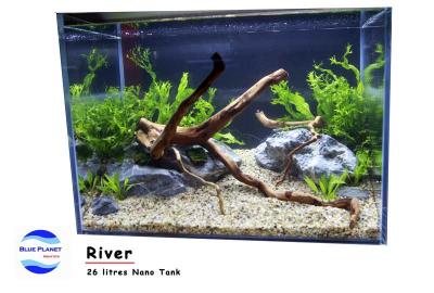 Planted Tanks for Sale (Flowing River)
