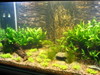 Aquasape My New 4 Footer