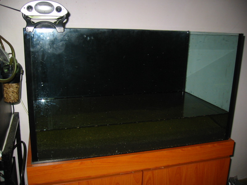 tank with ada soil