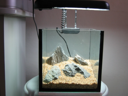 8inch nano tank