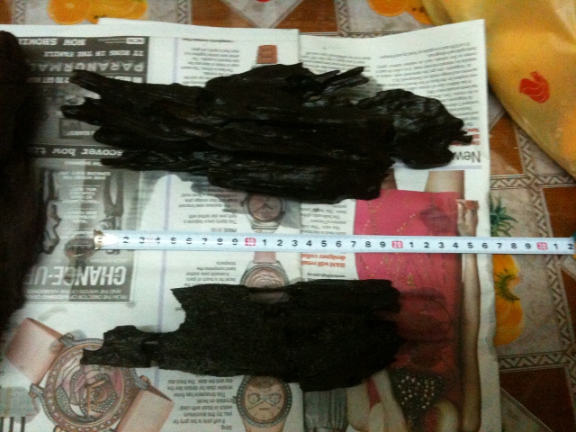 img 0476 640x480