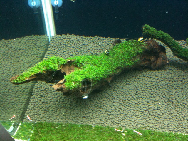img 0489 640x480