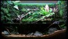 15g Paludarium