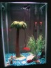 my old fish tank