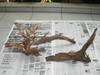 Driftwood ($10 for the left, $5 for the right)