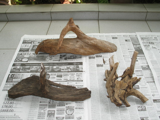 Driftwood ($5 each)